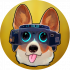 Yt_Valem_PP_round